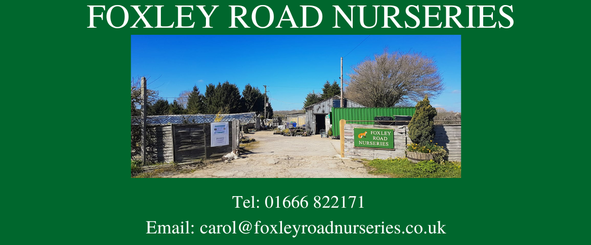 Foxley Road Nurseries ~ Quality Plants at Reasonable Prices ~